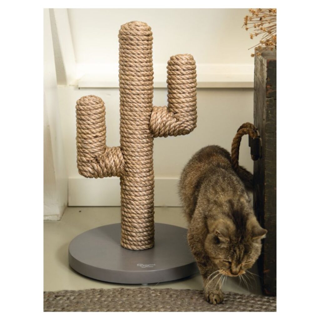 Klösmöbel Cactus natural - Designed by Lotte