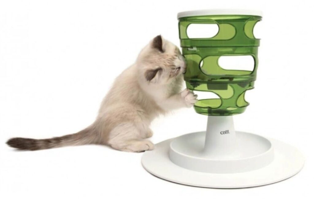 brungrå katt ska äta ur produkten Cat It Senses 2.0 Food Tree