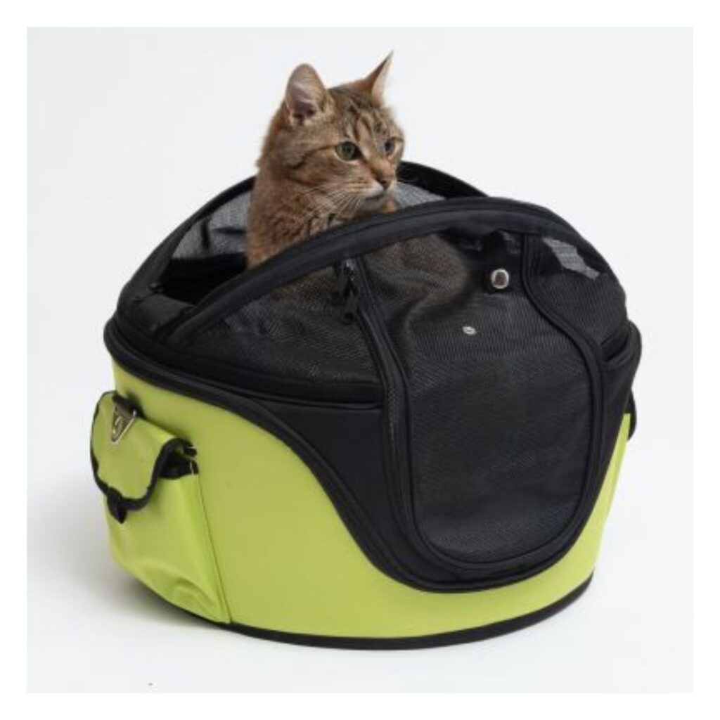 Kattväska för transport, med katt i. Ljusgrön färg från märket Sandy Hard Shell.