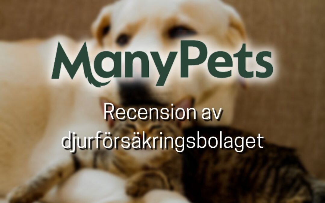 ManyPets logo och texten: Recension av djurförsäkringsbolaget. Hund och katt i bakgrunden