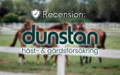 Recension av Dunstan 2023: Häst- och gårdsförsäkring