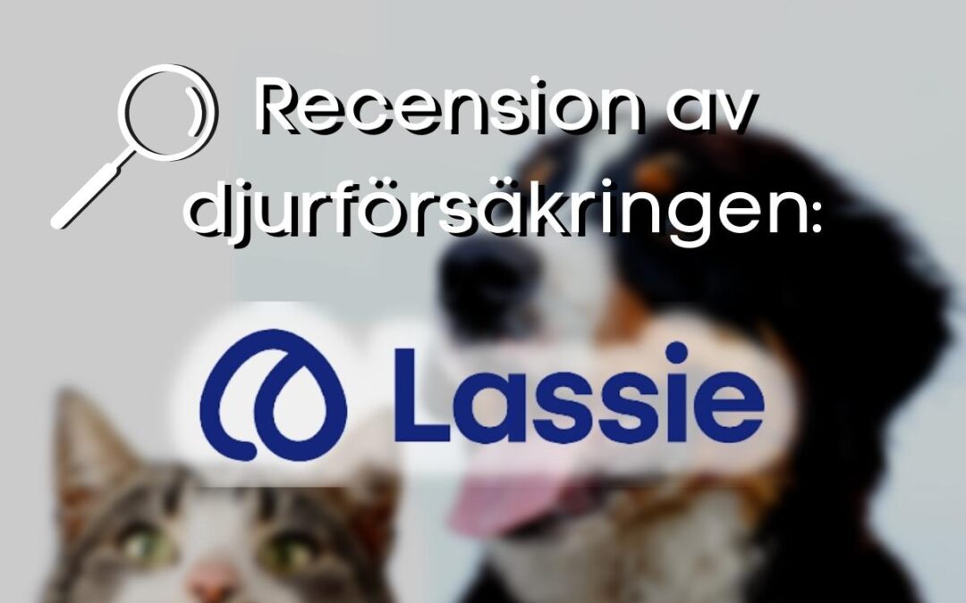 Recension av djurförsäkringen Lassie