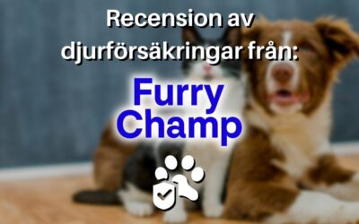 Recension av FurryChamp 2023: Moderna heltäckande djurförsäkringar